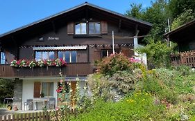 Chalet Acheregg